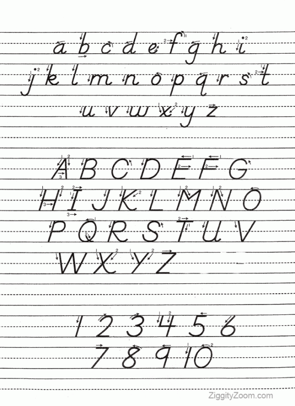 D Nealian Alphabet tracing Worksheet