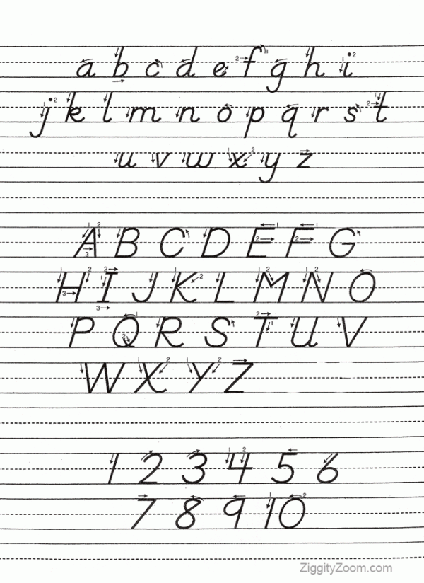 D Nealian Alphabet Tracing Worksheet