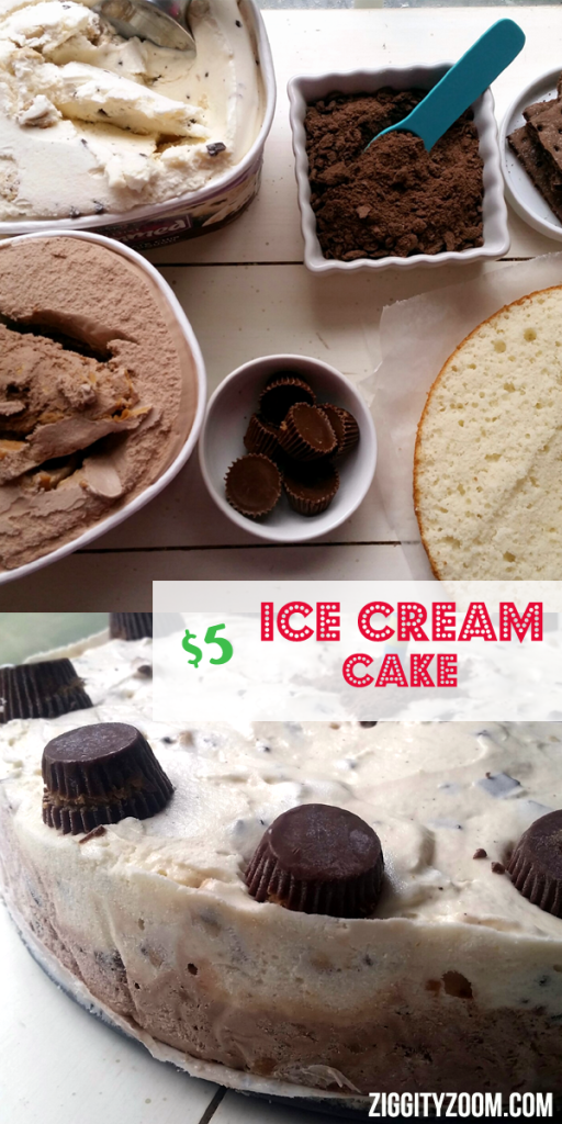 Make Ice Cream Cake Under $5