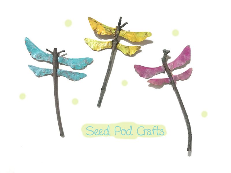 Nature Craft Projects